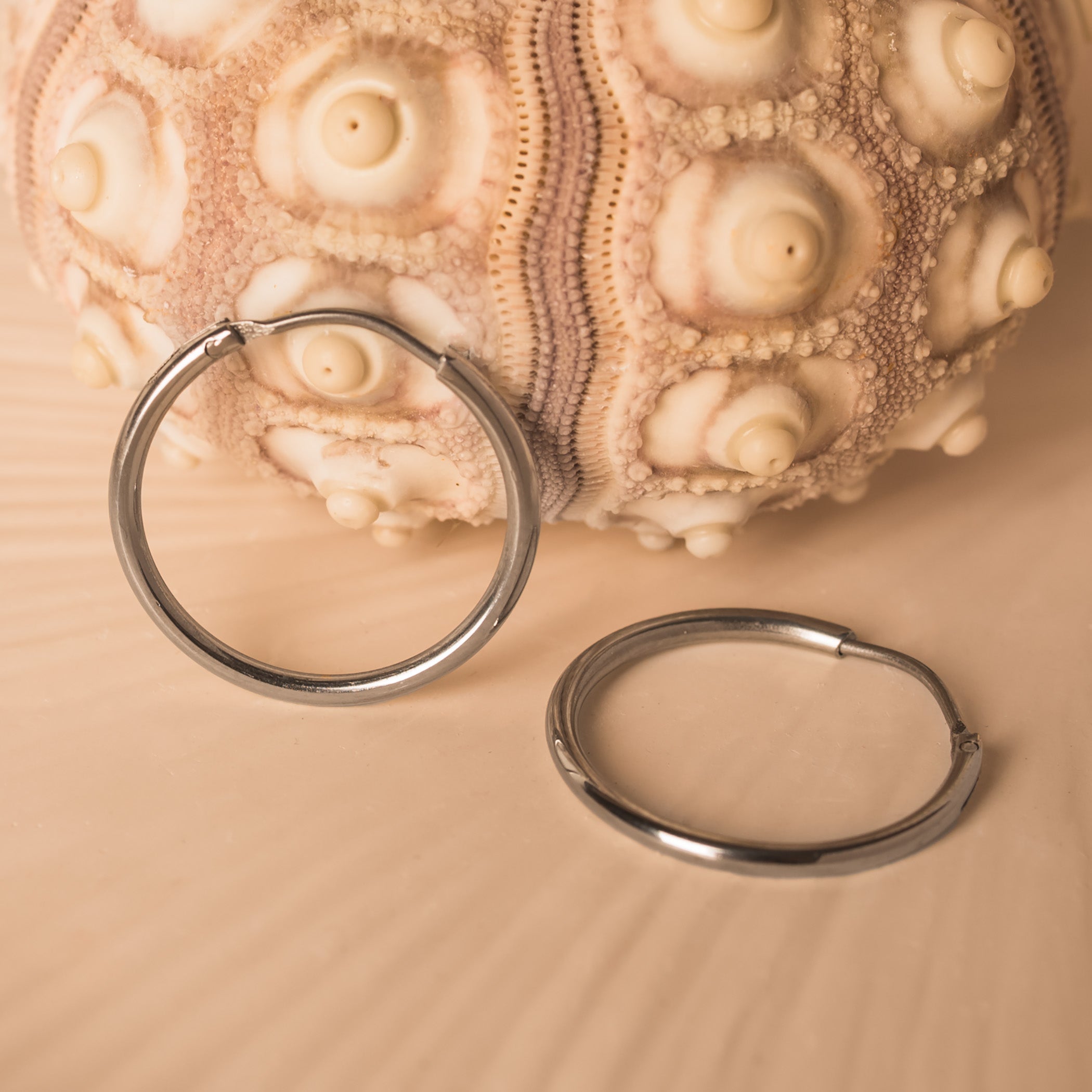 silver Hoop Earrings
