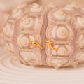 gold dolphin stud earrings