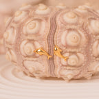 gold dolphin stud earrings
