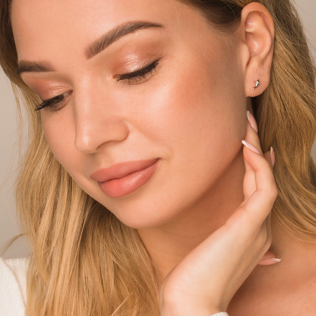 silver small dolphin stud earrings