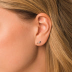 small dolphin stud earrings